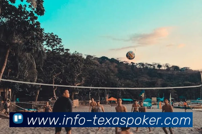 App Interface Preview